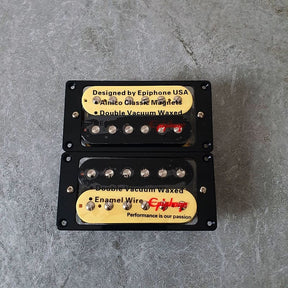 Epiphone Zebra Humbuckers